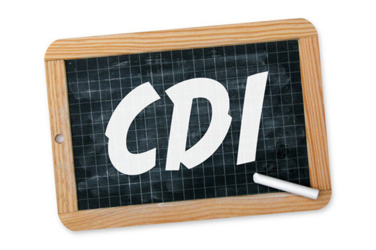 logo CDI.jpg